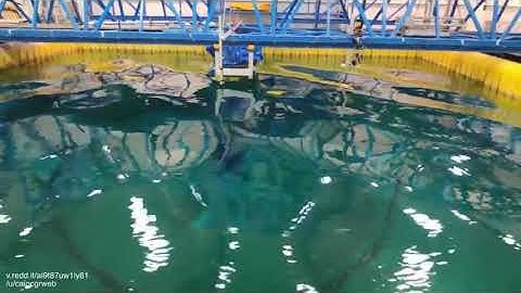 perfect standing wave on a computer-controlled wave pool