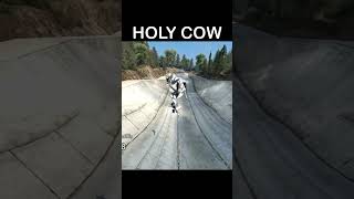Cow in Skate 3