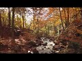 Padley Gorge Autumn Walk, English Countryside 4K