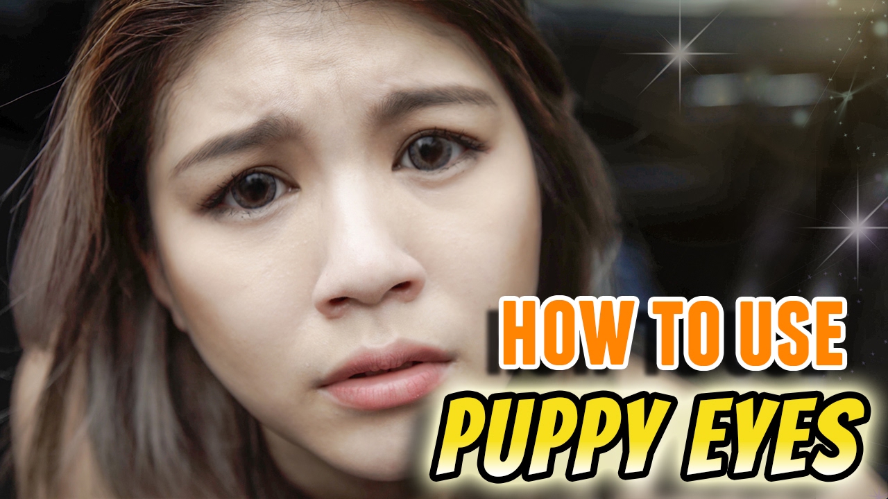 How To Use Puppy Eyes - YouTube