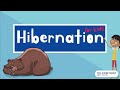 Understanding Hibernation