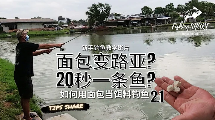 【FishingShare】如何用麵包當餌料釣魚2.1（新手釣魚教學影片）| HOW TO FISHING WITH BREAD 2.1 (FISHING VIDEOS FOR BEGINNERS) - 天天要聞