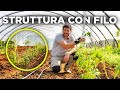 Coltivare POMODORI in modo semplice e produttivo