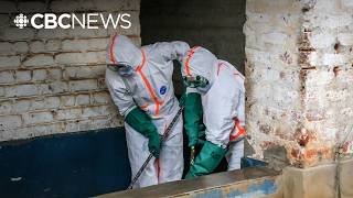 D.R.C. suspends large gatherings as WHO raises Ebola public health risk to 'very high'