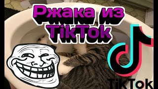 Ржака Из Tiktok