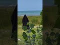 لست بالواعي ضاع عمري في غدي