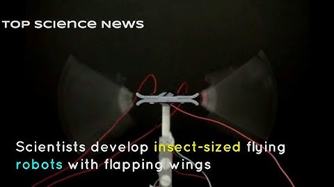 Scientists develop insect sized flying robots with flapping wings | Top Science News