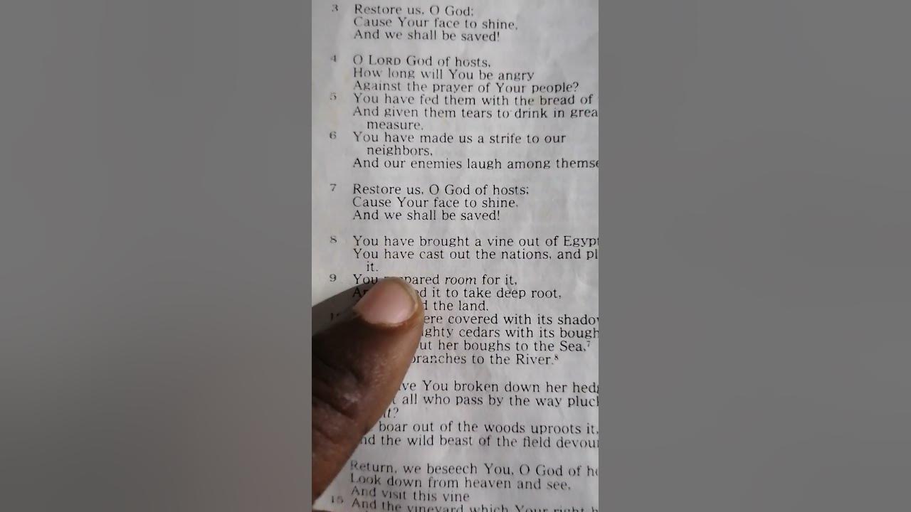 psalm-80-8-bible-reading-and-meditation-youtube