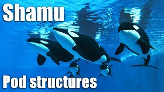 Shamu Chapter 5: Pod structures Net Worth