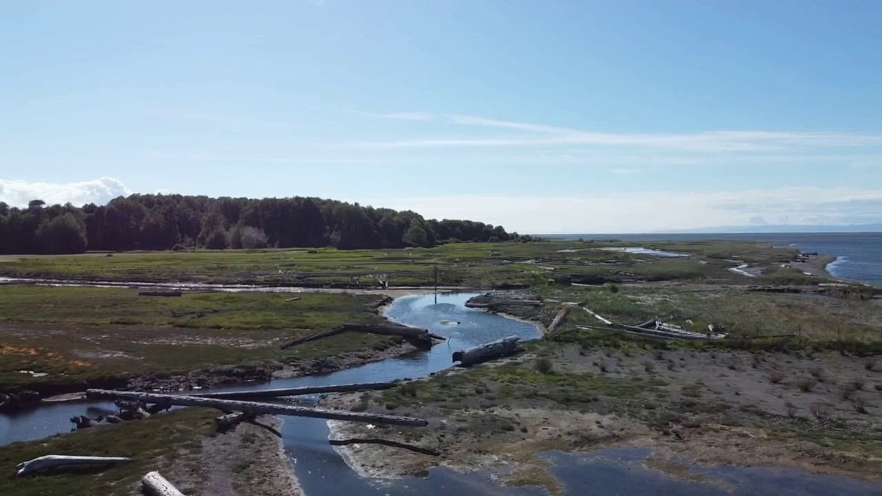 Sequim Washington YouTube