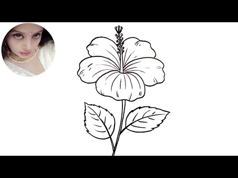 How to Draw Hibiscus flower | Joba Ful Akanor Koushol