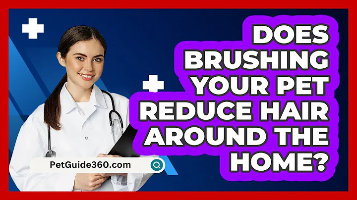 Does Brushing Your Pet Reduce Hair Around The Home? - PetGuide360.com
