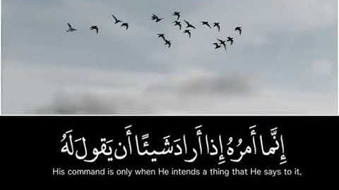 الشيخ ماهر المعيقلي ، تلاوات قرانية قصيرة، تلاوات خاشعة* حالات واتس قرانية، حالات واتس