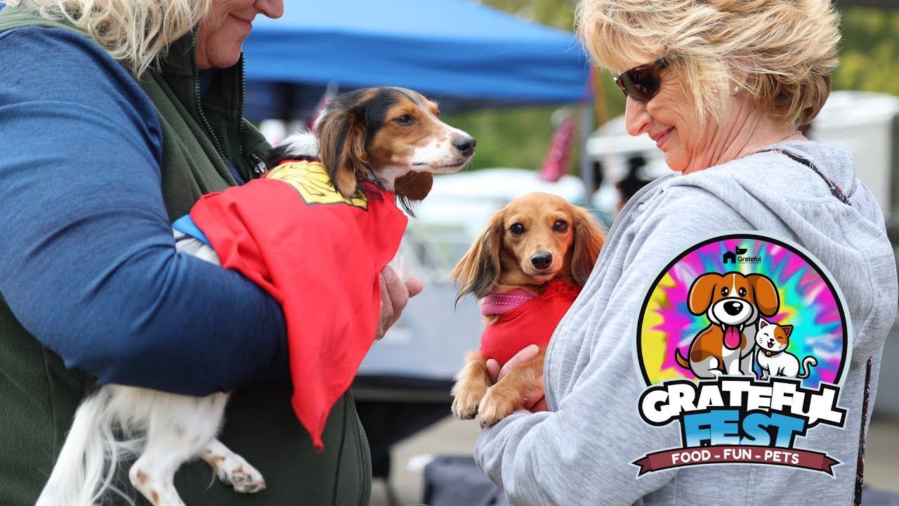 Rescued dogs reunite at 2024 Grateful Fest