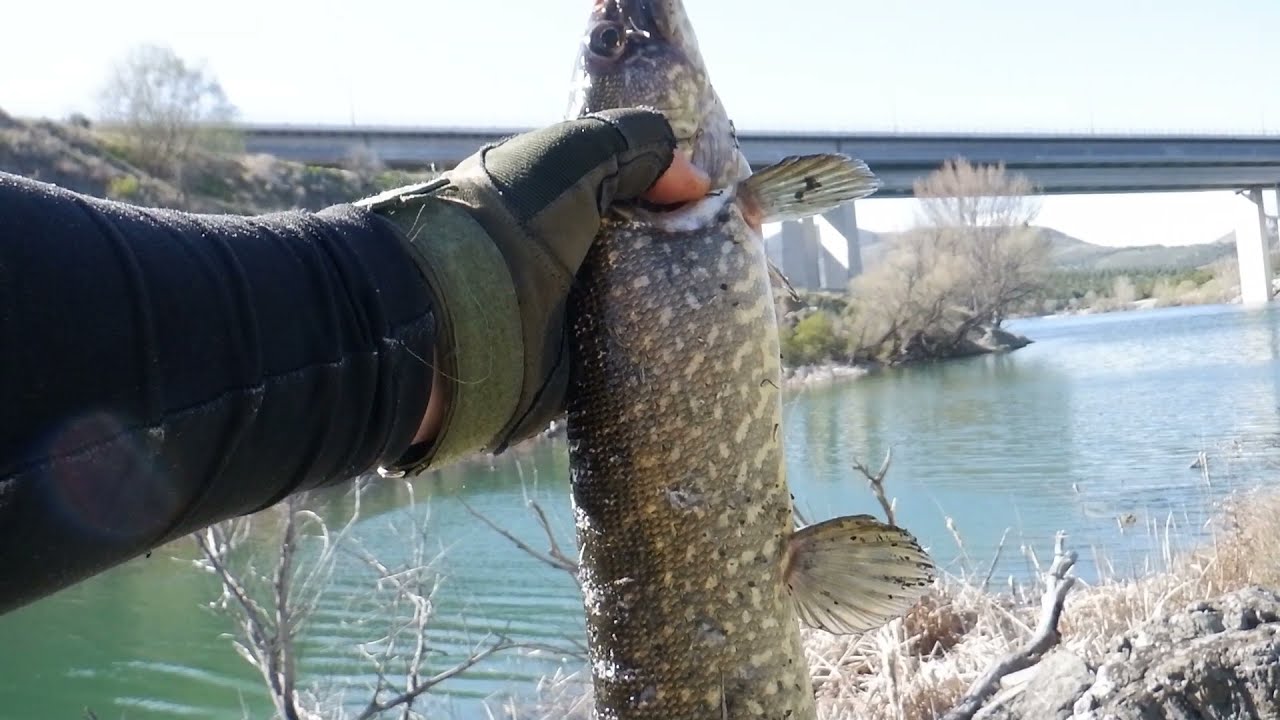Mavigöl Turnalar bu hafta çıldırdı 👍