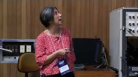 XIII Brazilian Workshop on Continuous Optimization - Plenary Talk - Stefania Bellavia