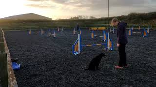 Agility Rocks October Champ Steeplechase (2ndQ)