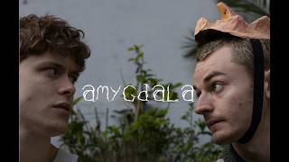 Amygdala (2026) | SHORT FILM