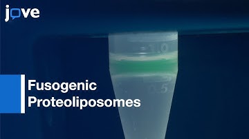 Fusogenic Proteoliposomes for Membrane Proteins Reconstitution | Protocol Preview