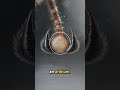 How Ant Feet Stick to Glass Without Defying Gravity