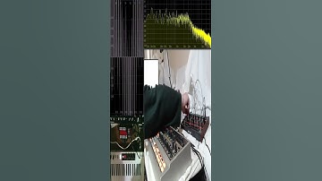 Behringer Grind | Synth Patch | Rhubarb | #synth #synthesizer #electronicmusic