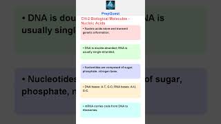 Class 11 Biology – Chapter 2: Biological Molecules | Carbs, Proteins, Lipids, Nucleic Acids & More