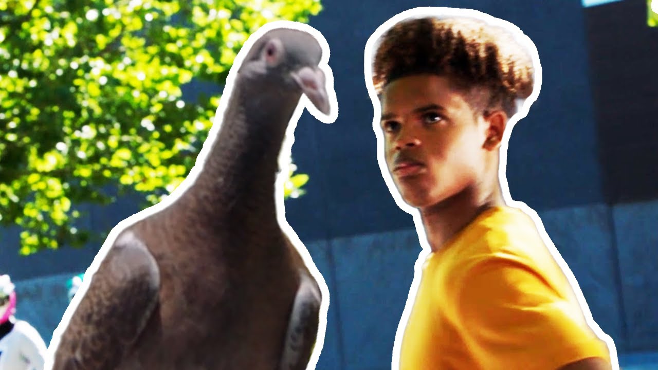 Pigeon Or Power Ranger? 🦖 Dino Fury ⚡ Power Rangers Kids ⚡ Action for Kids