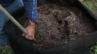 Outdoor Grow 2018 - New 100 Gallon Pot
