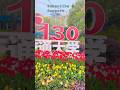 University 130 Anniversary #university #anniversary #flowers #shorts #viral