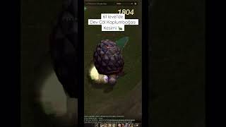 Metin2 Tr Dev Çöl Kaplumbağası Kesimi