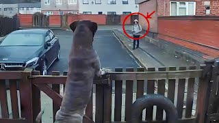 Everyone Fears Him at First — Until They Discover the Truth screenshot 4