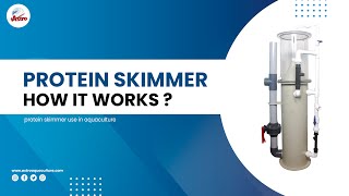 Protein Skimmer How It Works?