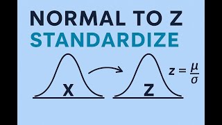 Normal to Z: The Easiest Way to Standardize Your Data in Statistics