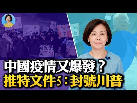 【方菲时间】海外留学生为什么参与声援“白纸革命”；推特文件第5季：永久封杀川普的犯罪现场 ｜12/13/2022