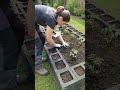 Smart Tomato Bed Design Preview