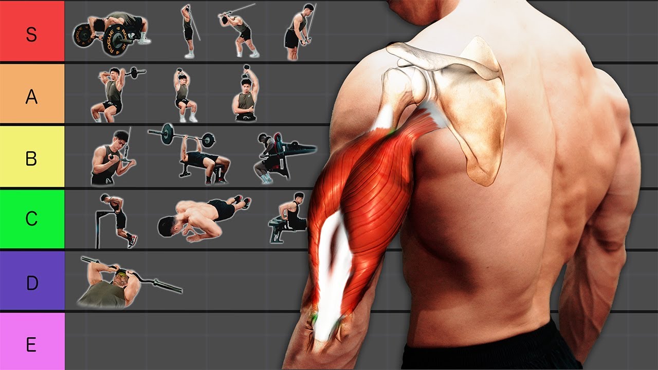 三頭筋の筋肥大に最も良い種目は？【上腕三頭筋のティアリスト】