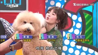 巨型貴賓品種少 花費高! 上班這黨事 20180904