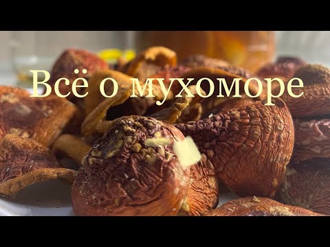 Мухомор.Как пить мухомор.Как делать настойку с мухомора.Польза мухомора.мазь с мухомора.Микродозинг.