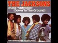 Video thumbnail for The Jacksons ~ Shake Your Body (Down To The Ground) 1978 Funky Purrfection Version