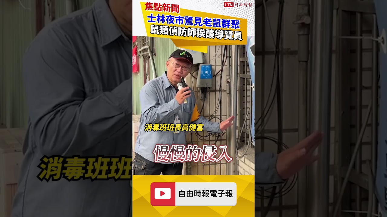 嚇鼠人!直擊士林夜市大型「老鼠會」!北市首創「鼠類偵防師」初登場就翻車|20260513 自由短影音|#shorts 嚇鼠人!直擊士林夜市大型「老鼠會」!北市首創「鼠類偵防師」初登場就翻車|20260513 自由短影音|#shorts
