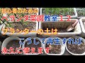 プランター土の再生　終わった野菜のプランターの土は元気に育って多くの収穫が出来る土に再生をします