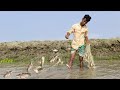 Bangladesh Fishing।। নতুন পানিতে কারেন্ট জাল দিয়ে টেংরা ধরা।। ফাঁস জাল দিয়ে মাছ ধরা। 