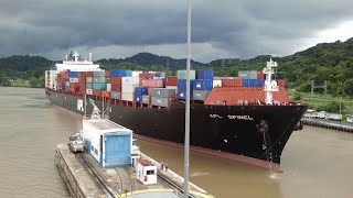 MARITIME GENIE - AN INTRODUCTION & NAVIGATING CHANNEL