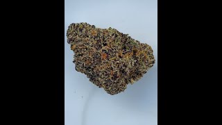 Live Strain Review White Runtz Bought From The Colorado Weedery