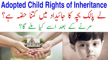 Rights of Adopted Children in Inheritance | Iqbal International Law Services®