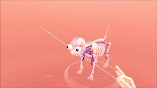 Cat Explorer demo by Leap Motion | HTCVive