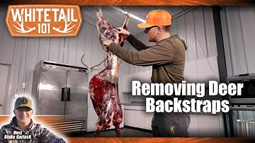 How to Remove a Backstrap from a Whitetail Deer | Venison Processing Guide