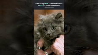 VELLO | Southside - 6.2% increase patient visits #vello #idexx #pets #veterinary #software #vetmed