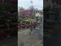 Garden World on Francis Lewis Blvd in Queens #icclifecoach #newyork #flowers #lucythomasmusic
