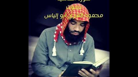 سورة الغاشية بصوت محمود أبو إلياس